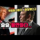 트럼프 취임하자마자, 벌써 일론머스크와 테슬라에 들려오는 불안한 3가지 뉴스속보 이미지