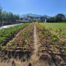 송우목장 이미지