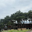 소양강로R 이미지