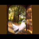 칼립소 음악의 대표곡, 지상 최고의 슬픈 영혼의 노래, 구구구 우는 비둘기야 - 해리 벨라폰테 이미지