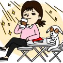 왈왈펫카페 이미지