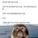인생만족