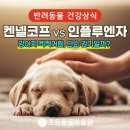 조은동물의료원 이미지