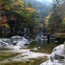 2/26(화요) 빙벽의 절경 오대산(소금강)으로!... 이미지