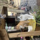 김포 글램핑 추천드려요~ 이미지