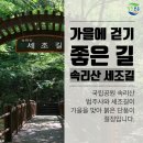 2019년 서호산악회 11월 3일 충북보은 속리산 세조길 정기산행 이미지