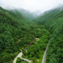 광치자연휴양림 이미지