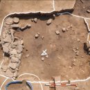 토성농장 이미지