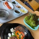 수초떡갈비 네이버블로그