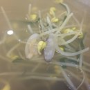 파아란스크린골프연습장 이미지