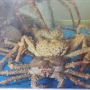 태안자연산횟집 이미지