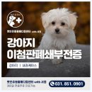 동두천 메디컬 센터 이미지