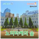 (주)씨유 가산플라츠 | [해외여행] 노리타케의 숲 & 현지 맛집 야바톤 된장 돈가스 & 나고야 추부국제공항 출국