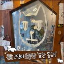 [묵호/동해] 고양이 덕후라면 꼭 가봐야 할 '묘한 동해' 소품샵 후기 (내돈내산, 가격, 휴무일)