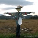 허수아비 이미지