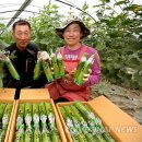 김병관농장 연합뉴스