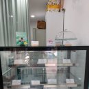 시루아 케이크 이미지