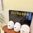 금송테라피