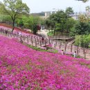 고강선사유적공원 이미지