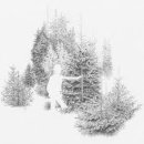 Barr - SKOGSBO IS THE PLACE (Sweden Prog Folk 2008) 이미지