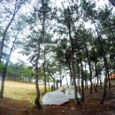 나들가게증도마트 이미지