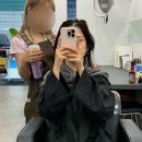 송파 미용실 헤어샵 고운일상헤어 송파헬리오시티점 뿌리매직 후기