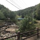 도사곡휴양림 이미지