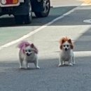 팩토리 노래연습장 이미지