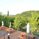 프랜치캣펜션 이미지