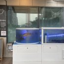 해광한의원 이미지