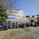 넥시스시트