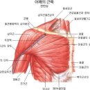 소니드체형교정센터