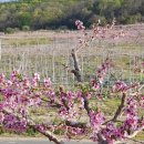 신성중학교 이미지