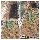 광천농약사 이미지