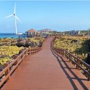 대1동제2경노당 | 제주올레길 14코스