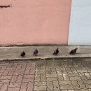 키즈마트 이미지