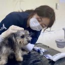부천24시SKY동물메디컬센터 이미지