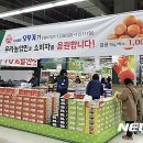 오뚜기할인마트 이미지