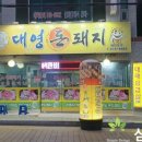 대영돈돼지 이미지