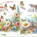 비발디사계 이미지