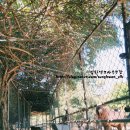 성환엘크사슴농장 이미지