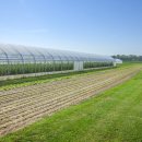 풍년농약 종묘사 이미지