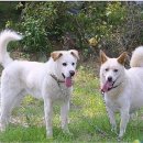 우리두리농장 이미지