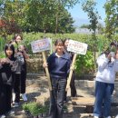 서귀중앙여자중학교 이미지