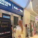 엘시티 여행사