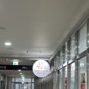 시흥 라면사리 무한리필 월수금통돼지김치찌개 거북섬점