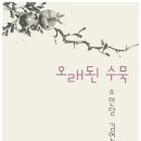 소안당