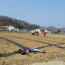 청도떡방 네이버블로그