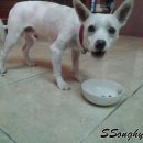 코코세탁소 이미지