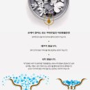 스파월드보석사우나 | 겨울 여행 가족 부모님 함께 가볼만한 곳 - 경북 울진 덕구 온천 후기(이용 시간, 요금 등)